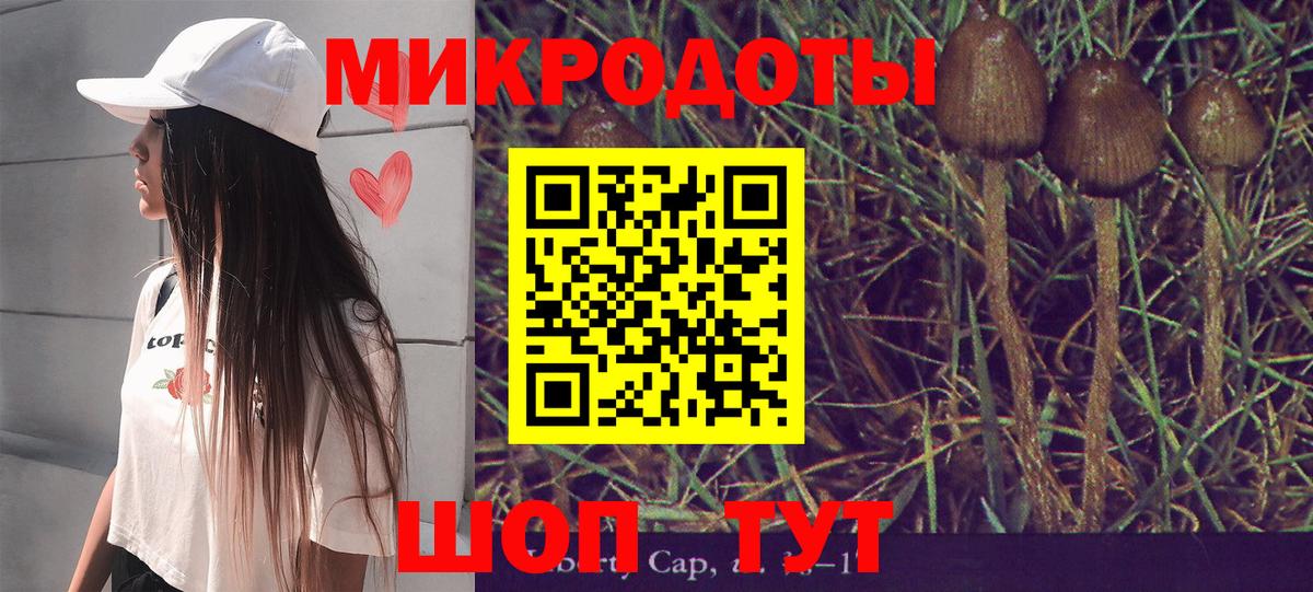 Ульяновск  Галлюциногенные грибы Psilocybine cubensis  Вход с VPN 